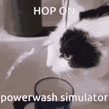 Hop On Hop On Powerwash GIF