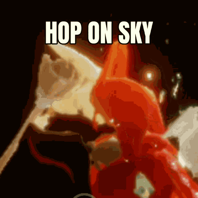 Hop On Hop On Sky GIF