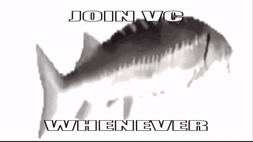 Hop On Hop On Vc GIF