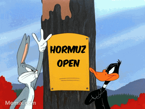 Hormuz Open Hormuz Closed Rabbit Season Duck Season GIF