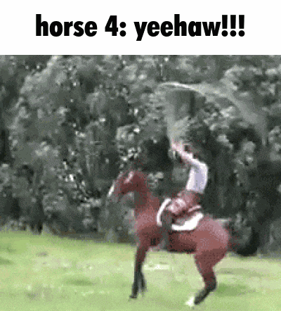 Horse 4 GIF