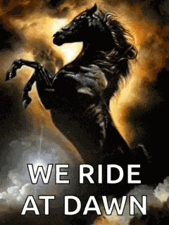 Horse Black Horse GIF
