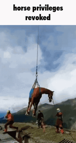Horse GIF