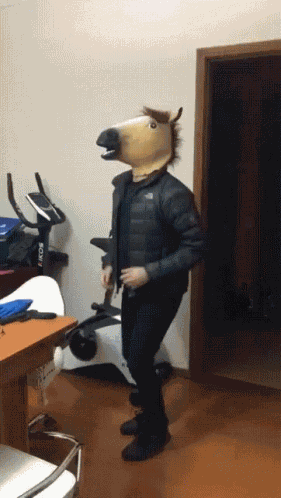 Horse Crazy GIF
