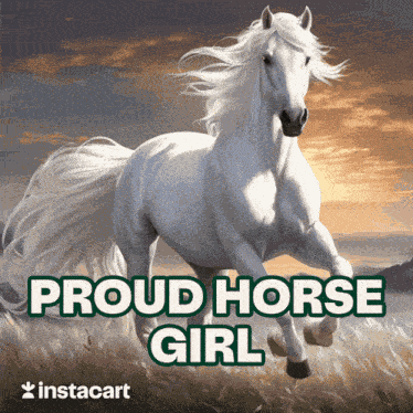 Horse Girl Horse Girlie GIF