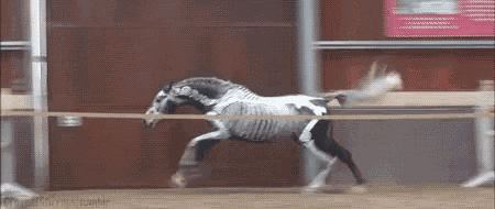 Horse Halloween GIF