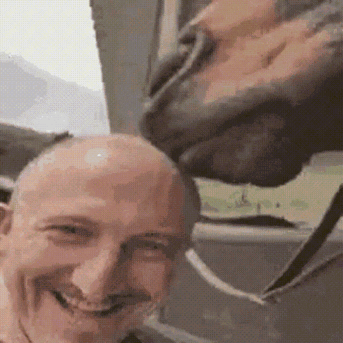 Horse Horse Eating GIF