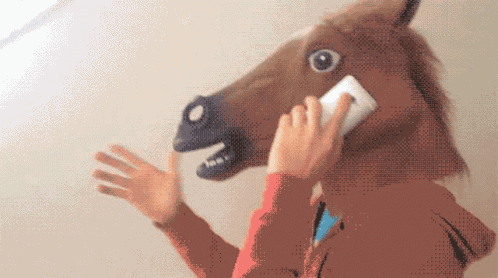 Horse Horse Phone GIF