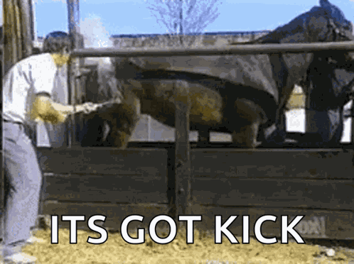 Horse Kick GIF