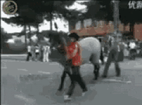Horse Kick Back GIF