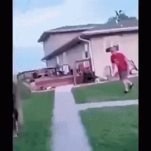 Horse Kick Kick GIF