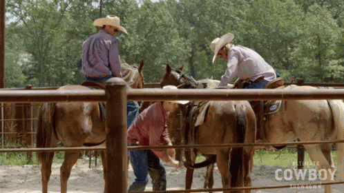 Horse Kicking John Paul Gonzalez GIF