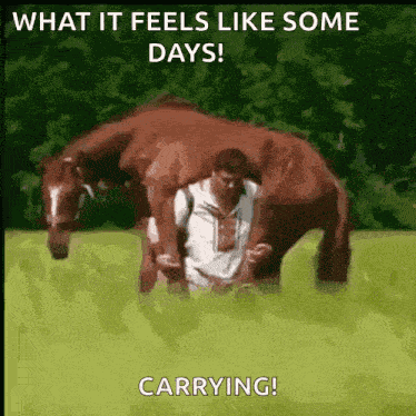 Horse Man Drunk Carrying A Horse GIF