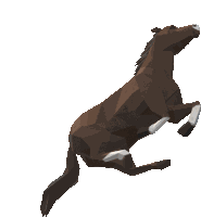 Horse Spin Sticker