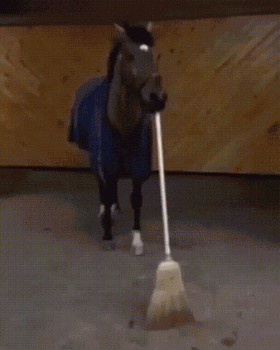 Horse Sweep GIF