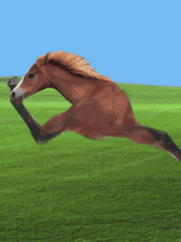 Horse GIF