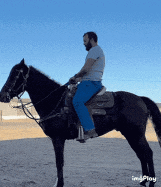 Horseback Horse Riding GIF