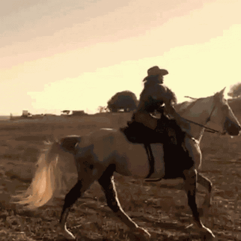 Horseback Riding Lux Lyall GIF