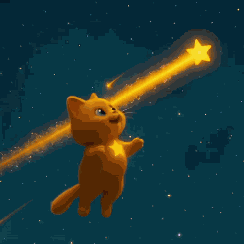 Hosico Stars GIF