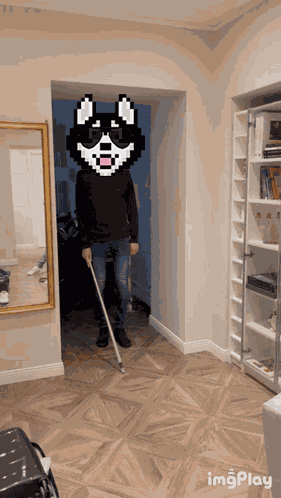 Hosky Blind Aikent-see GIF
