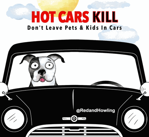 Hot Car Kill Heat Safety GIF