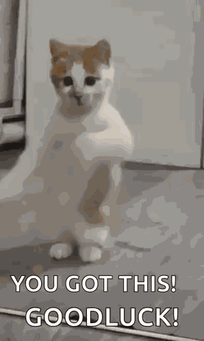 Hottie Dancing GIF