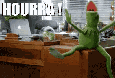 Hourra GIF