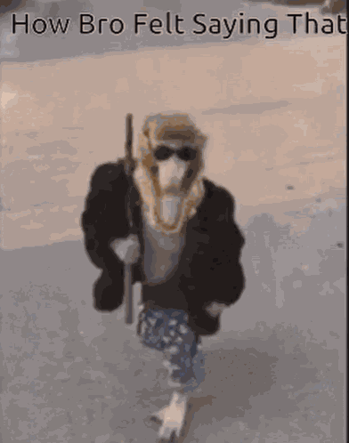 How Bro Felt After Saying That Monkey GIF