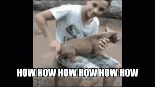 How How How How GIF