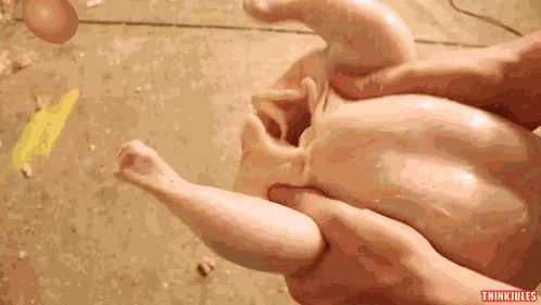 How To Basic Egg GIF