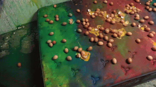 How To Basic How To Clean A Stained Mattress GIF