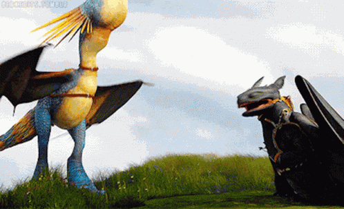 How To Train Your Dragon Toothless And Stormfly GIF