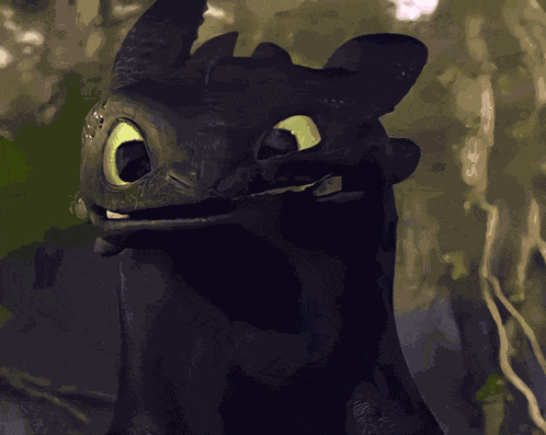 How To Train Your Dragon Toothless Dragon GIF