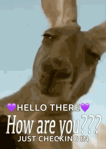 Howareyou Sup GIF