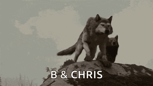 Howl Breaking Dawn GIF