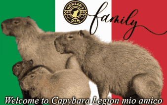 Howlers Den Capybara Meme