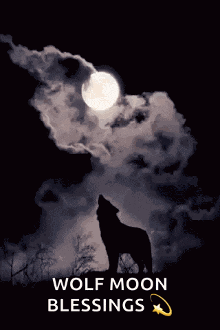 Howling Wolf GIF