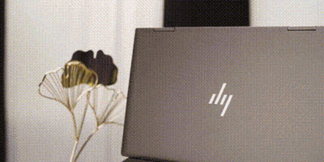 Hp Envy GIF