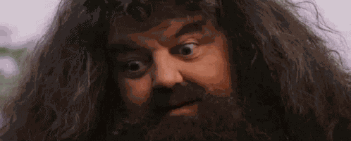 Hp GIF