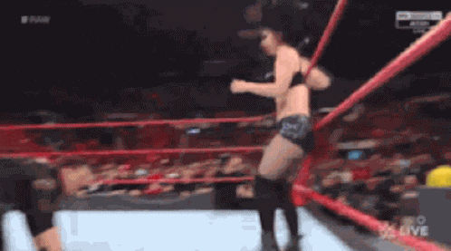 Hpw Paige GIF