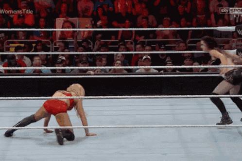 Hpw Paige GIF