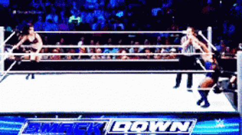 Hpw Paige GIF