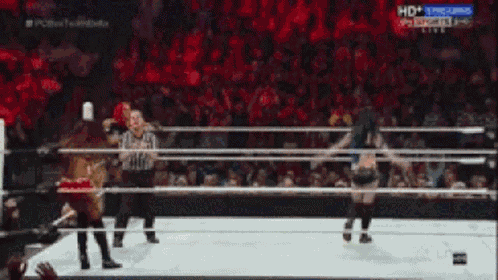Hpw Paige GIF