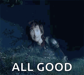 Httyd3 Hiccup GIF