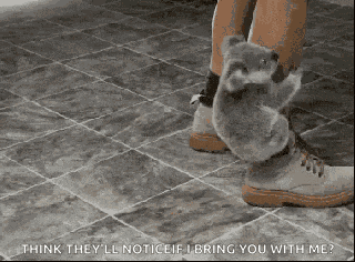 Hug Koala GIF