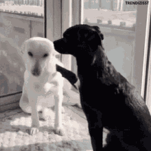 Hugs Big Hugs GIF