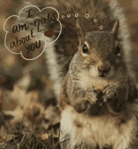 Hugs GIF