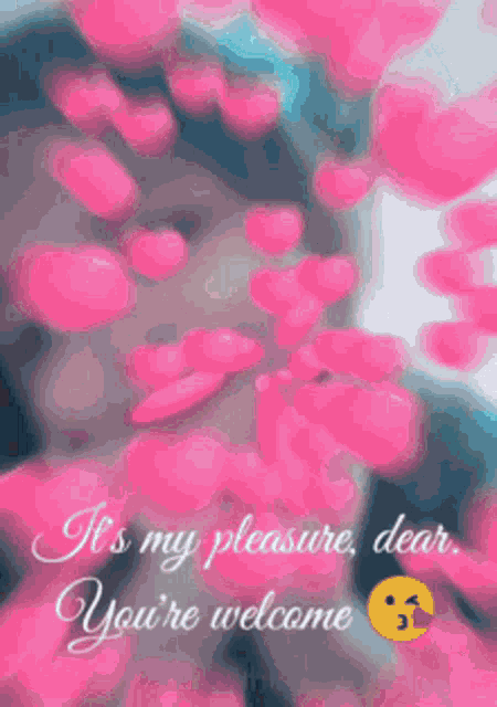 Hugsy Wugsy GIF