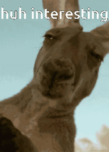 Huh Intereasting GIF