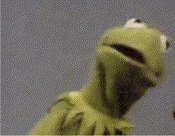 Huh Kermit The Frog GIF